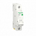 Schneider Electric: R9F12106