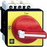 Главный аварийный выключатель-разъединитель с ручкой 3-пол. 25А  Schneider Electric