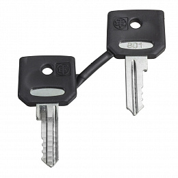 Набор запасных ключей 4а185, 2 шт. Schneider Electric. Вид 1