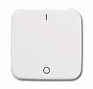 ABB: 2CKA001731A0884