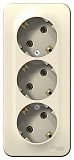 Systeme Electric: BLNRA010312