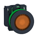 Schneider Electric: XB5FW35M5