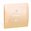 Розетка 2К+З с лицевой панелью (dark bronze) Galea Life Legrand. Вид 1.