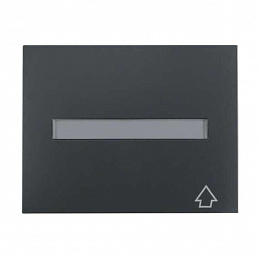 Рамка промежуточная с откидной крышкой и полем для надписи (антрацитовый, матовый) K.1 Berker. Вид 1