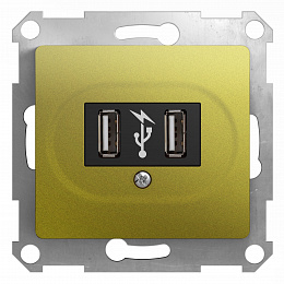 Розетка USB 5в /1400 ма, 2 х 5в /700 ма, механизм (фисташковый) Glossa Schneider Electric. Вид 1