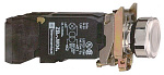Schneider Electric: XB4BW3145