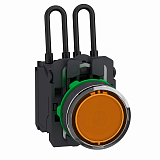 Schneider Electric: XB5AW25B5