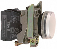 Schneider Electric: XB4BVM1EX