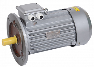 Эл. двиг. 3 фазы, АИР 100L6 380В 2,2кВт 1000 об/мин 3081 DRIVE IEK. Вид 1