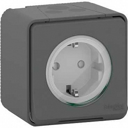 Розетка с з/к. и шт., открытой устан., винтов. клеммы IP55 (антрацит) Mureva Styl Schneider Electric. Вид 1