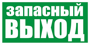 Запасный Выход (русский язык) 230х90мм  Legrand. Вид 1