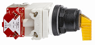 Schneider Electric: 9001SK53J35LYFA