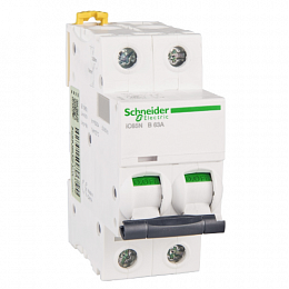 iC65N 2P 63А Автоматический выключатель 2-полюсный, 63А, 6кА (хар-ка B) Schneider Electric. Вид 1
