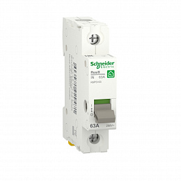 Рубильник 2-полюсный модульный 40А Schneider Electric. Вид 1