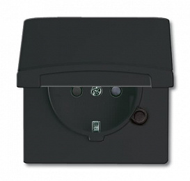20 EUGKB-35-101 Розетка SCHUKO, 20 EUGKB-35-101, с крышкой, с защитными шторками, Allwetter44, IP44, черный/антрацит, уплотнительное кольцо в комплек. Вид 1