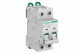 Автоматический выключатель 2-полюсный, 1A, 10kA (хар-ка D) Systeme9 Systeme Electric. Вид 1