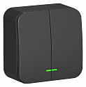 Systeme Electric: BLNVA105106