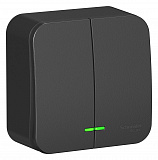 Выключатель 2-клавишный, О/У, (cх.5) с подсв., 10а, 250b (антрацит) Blanca Systeme Electric