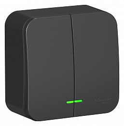 Выключатель 2-клавишный, О/У, (cх.5) с подсв., 10а, 250b (антрацит) Blanca Systeme Electric. Вид 1