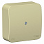 Коробка распределительная IP42, О/У (бежевый) Blanca Systeme Electric. Вид 1.