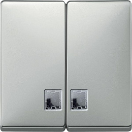 Клавиша двойная с окном для свет. инд, sd (сталь) Merten Schneider Electric. Вид 1